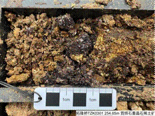 标题: 254.65米处含矿岩心 - 说明 TZK0301号钻孔254.65米处含矿岩心